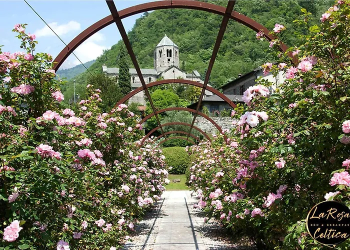 B&B La Rosa Celtica